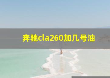 奔驰cla260加几号油