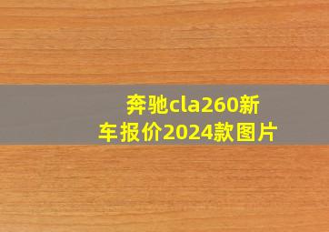 奔驰cla260新车报价2024款图片