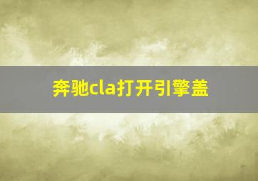 奔驰cla打开引擎盖