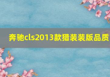 奔驰cls2013款猎装装版品质