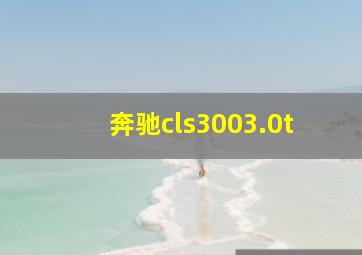 奔驰cls3003.0t