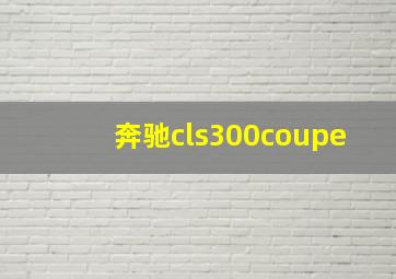 奔驰cls300coupe