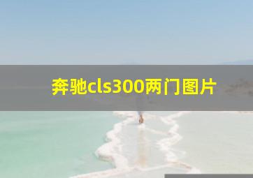 奔驰cls300两门图片