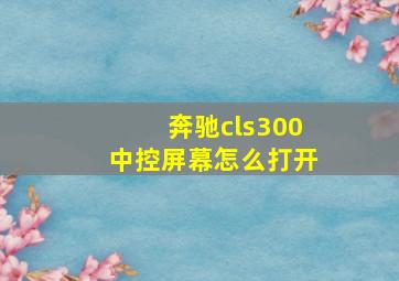 奔驰cls300中控屏幕怎么打开