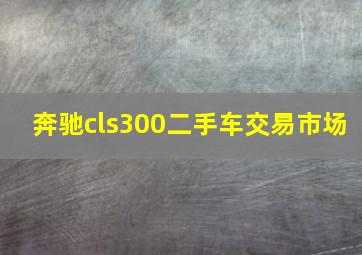 奔驰cls300二手车交易市场