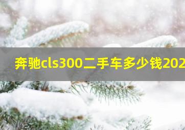 奔驰cls300二手车多少钱2024