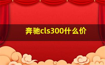 奔驰cls300什么价