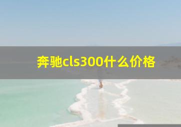 奔驰cls300什么价格