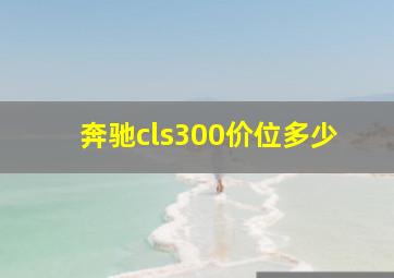 奔驰cls300价位多少