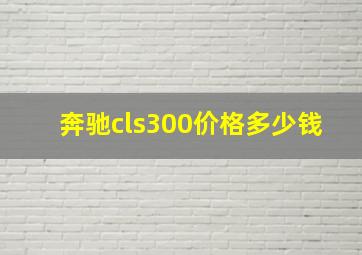 奔驰cls300价格多少钱