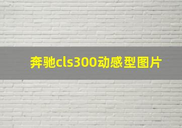 奔驰cls300动感型图片