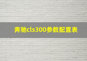 奔驰cls300参数配置表