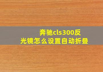 奔驰cls300反光镜怎么设置自动折叠