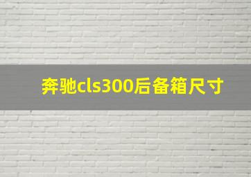 奔驰cls300后备箱尺寸