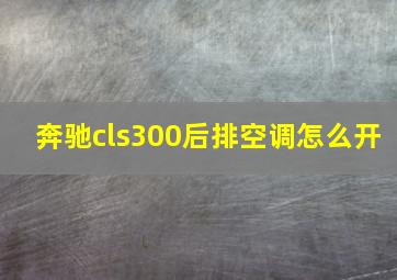 奔驰cls300后排空调怎么开