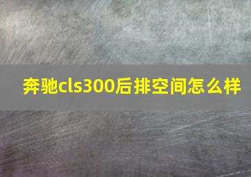 奔驰cls300后排空间怎么样