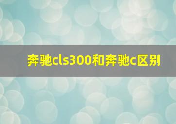 奔驰cls300和奔驰c区别