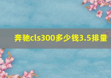 奔驰cls300多少钱3.5排量