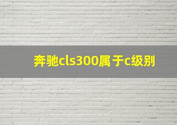 奔驰cls300属于c级别