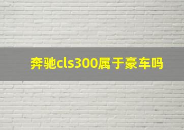 奔驰cls300属于豪车吗