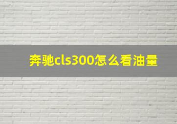 奔驰cls300怎么看油量