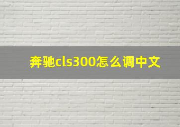 奔驰cls300怎么调中文