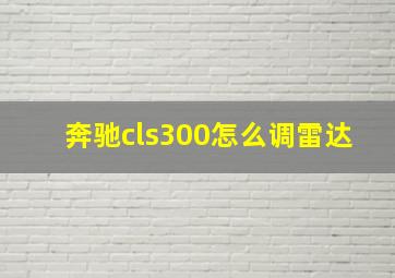 奔驰cls300怎么调雷达