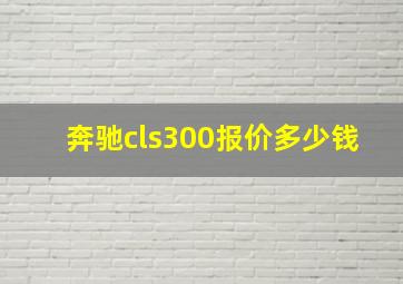 奔驰cls300报价多少钱