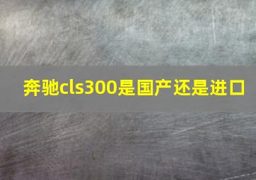 奔驰cls300是国产还是进口