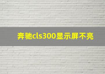 奔驰cls300显示屏不亮