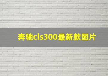 奔驰cls300最新款图片