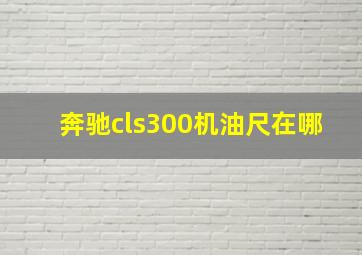 奔驰cls300机油尺在哪