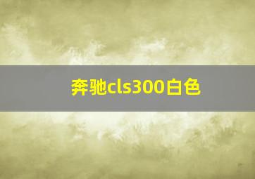 奔驰cls300白色