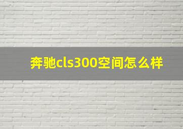 奔驰cls300空间怎么样