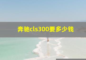 奔驰cls300要多少钱