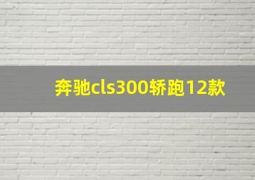 奔驰cls300轿跑12款