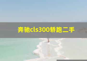 奔驰cls300轿跑二手