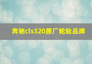 奔驰cls320原厂轮胎品牌