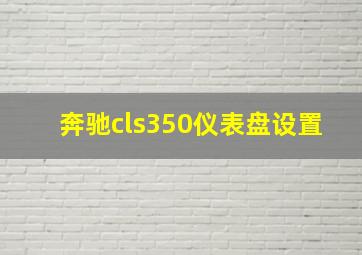 奔驰cls350仪表盘设置