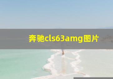 奔驰cls63amg图片