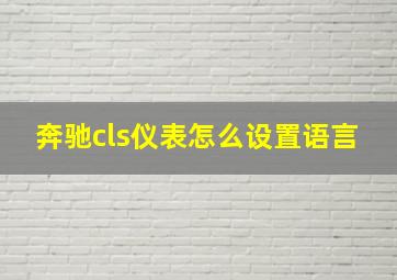 奔驰cls仪表怎么设置语言