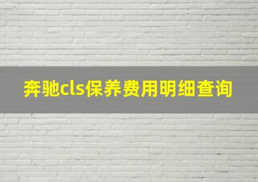 奔驰cls保养费用明细查询