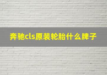 奔驰cls原装轮胎什么牌子