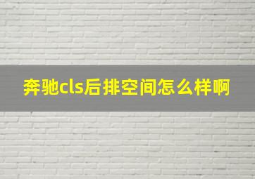 奔驰cls后排空间怎么样啊