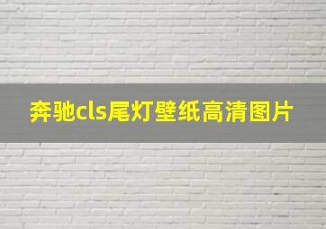 奔驰cls尾灯壁纸高清图片