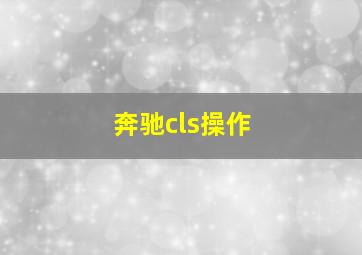 奔驰cls操作