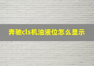 奔驰cls机油液位怎么显示