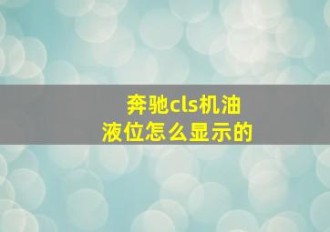 奔驰cls机油液位怎么显示的