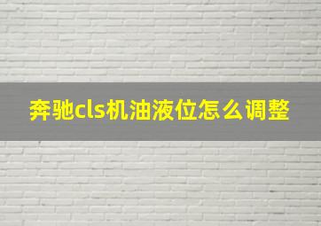 奔驰cls机油液位怎么调整