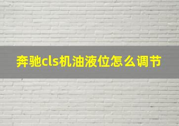 奔驰cls机油液位怎么调节